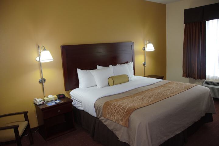 1 King Bed (4 of 12)