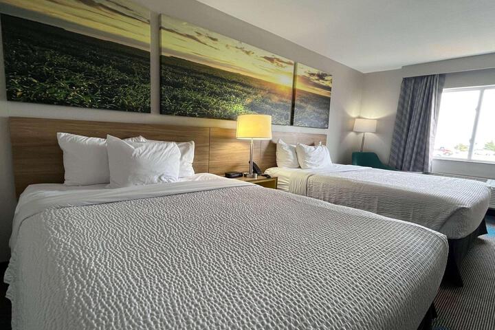 2 Queen Beds (3 of 8)