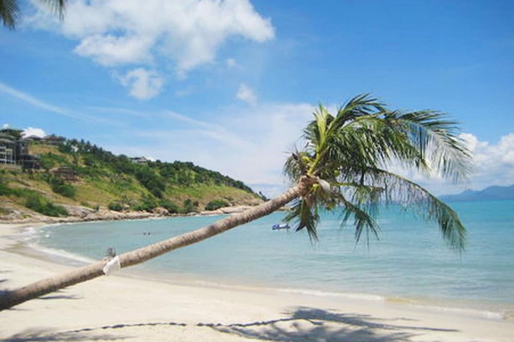 Beach 82 of 100