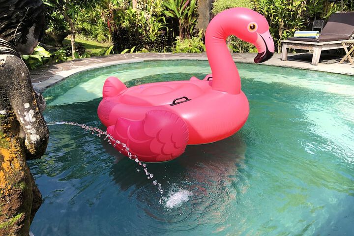 Pool 128 of 174