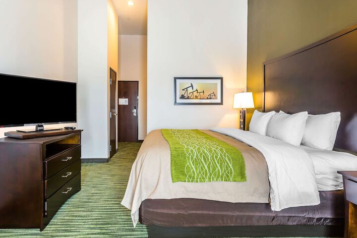 1 King Bed (9 of 13)