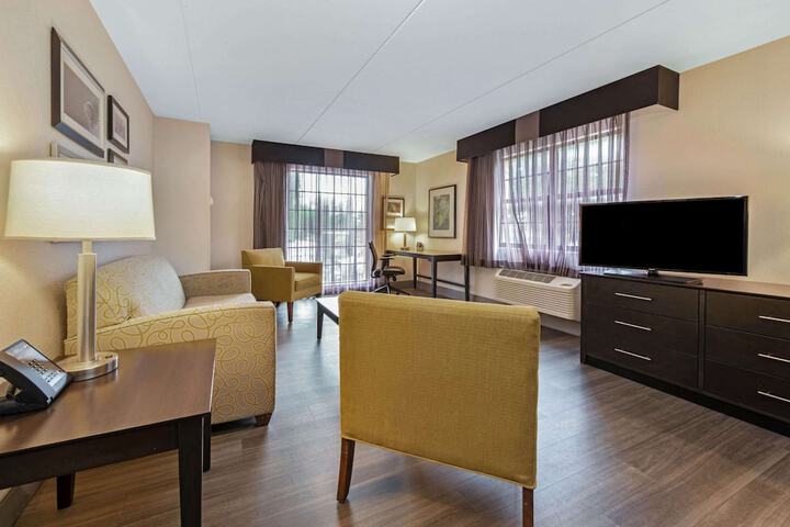 1 King Bed Mobility Hearing Impaired Accessible Room (8 of 16)