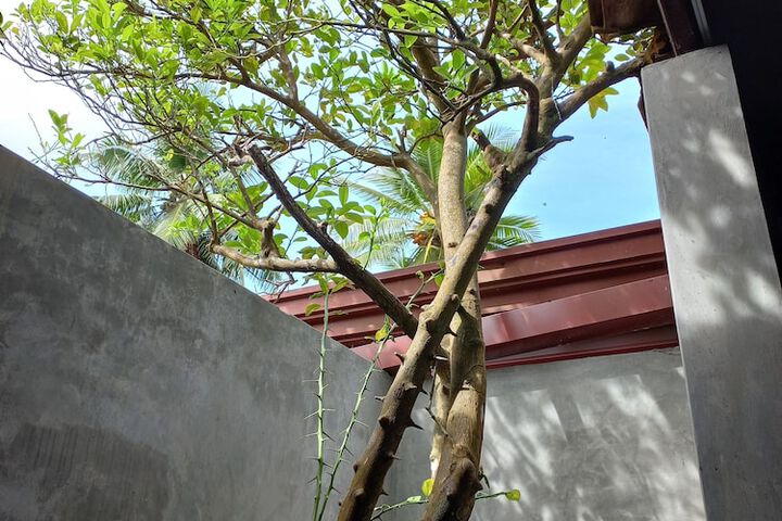 Room 16 of 22