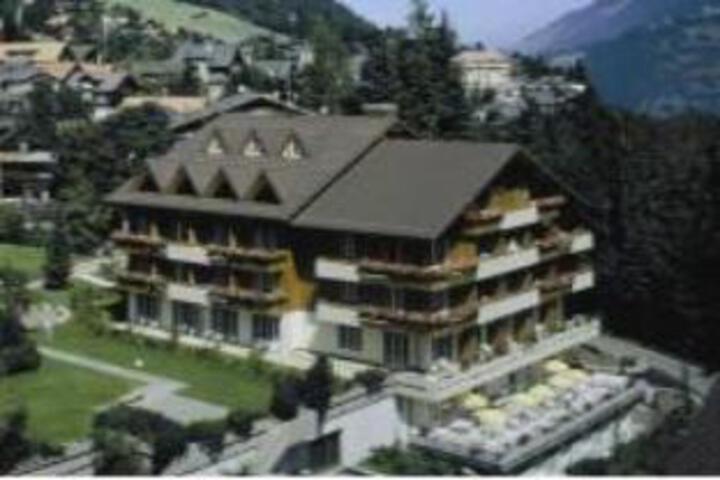 Steinmattli Swiss Quality