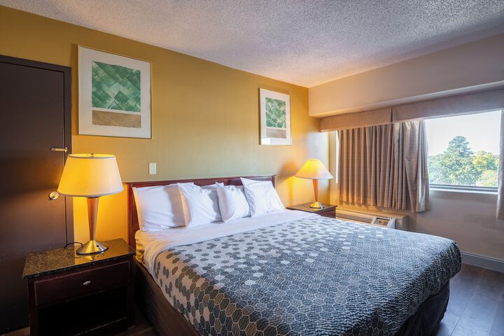 Deluxe Single Room (11 of 13)