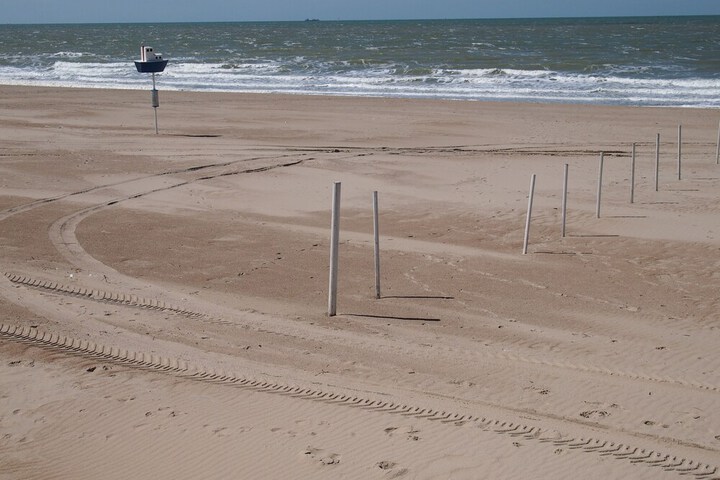 Beach 30 of 31