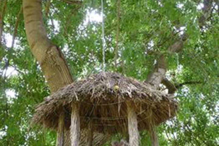 Property Grounds 17 of 19