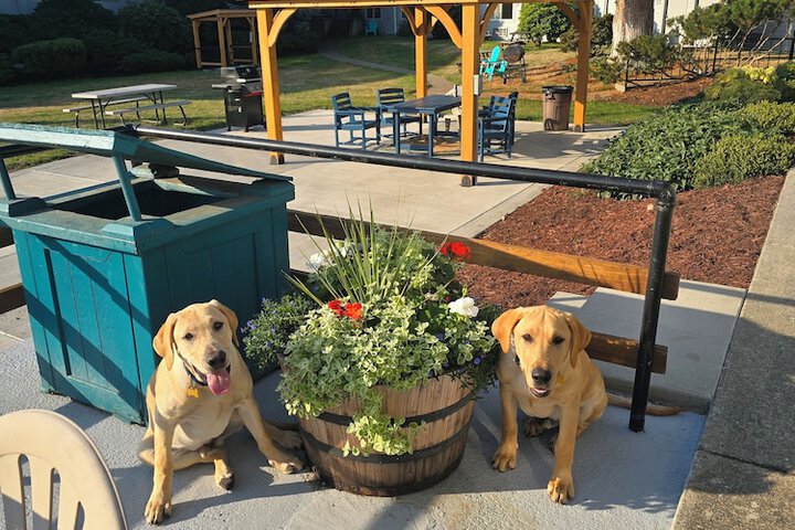 Pet Friendly 106 of 145