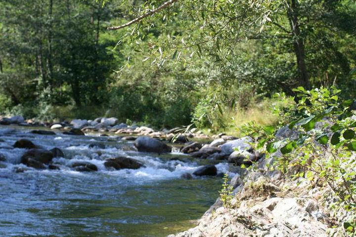 General 61 of 100