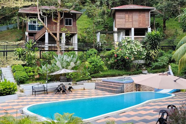 DBukit Forest