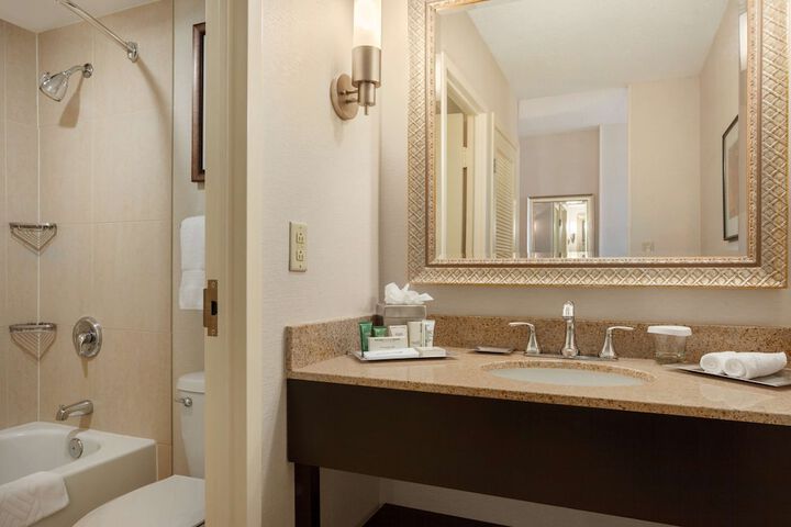 1 King Deluxe Mobility Accessible with Roll in Shower (11 of 12)
