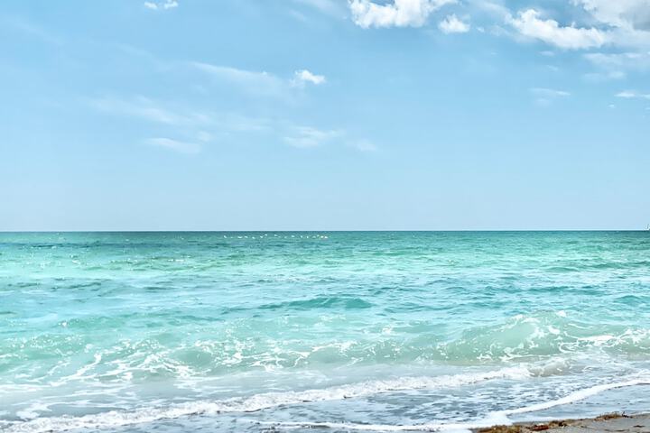 Beach 89 of 115