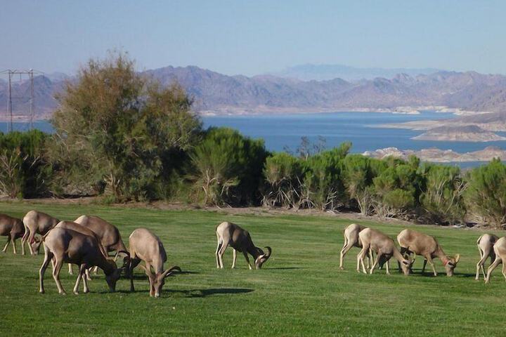 Land view from property
