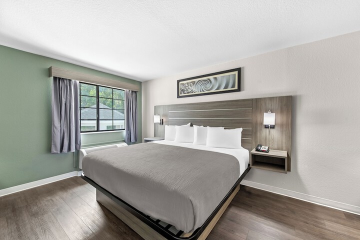 1 King Bed (5 of 8)
