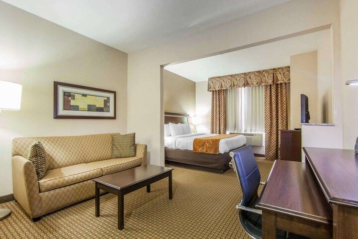 1 King Bed Suite (8 of 15)