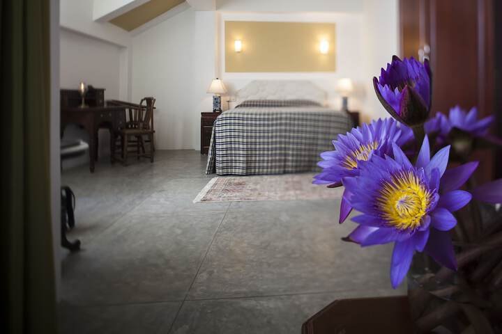 Room 4 of 77
