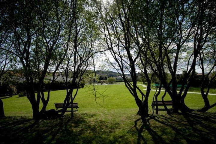 Property Grounds 49 of 65