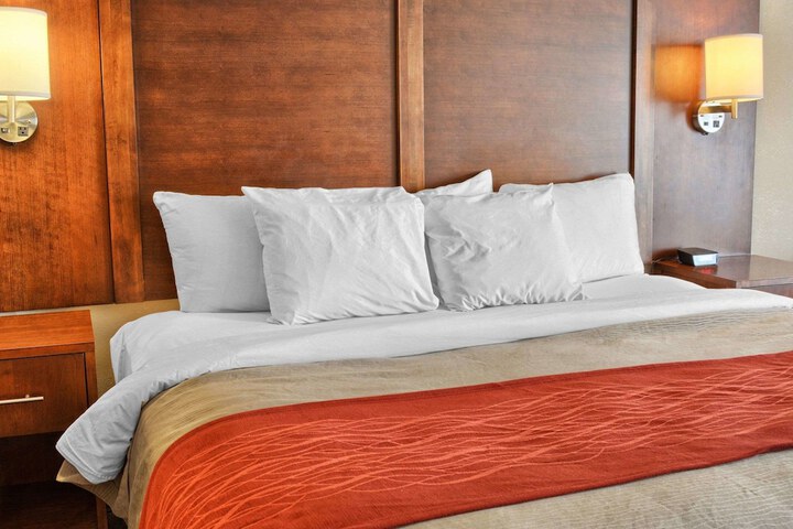 1 King Bed Mobility Accessible (9 of 14)