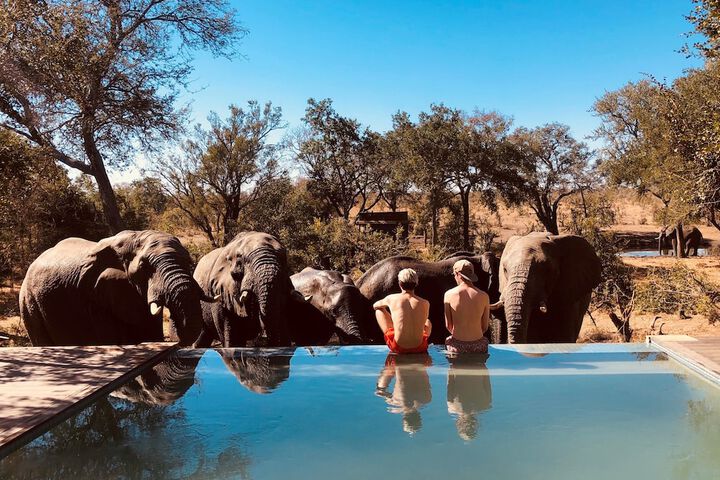 Exterior of Honeyguide Tented Safari Camps - Mantobeni