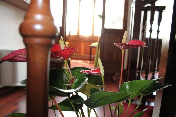 Interior detail