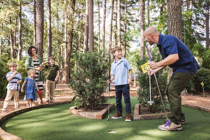 Mini-golf