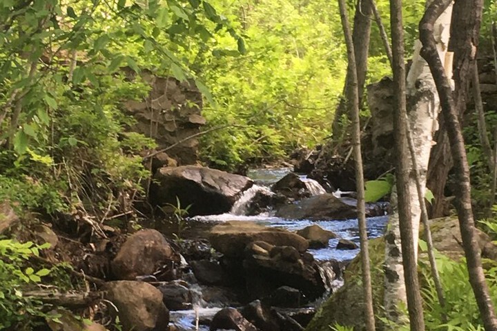 Property Grounds 53 of 73