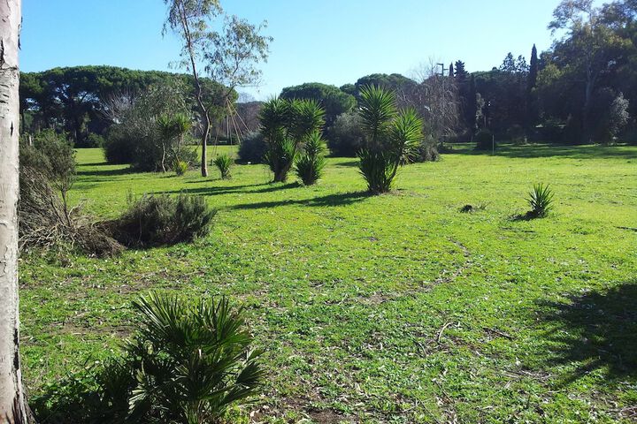 Property Grounds 17 of 23