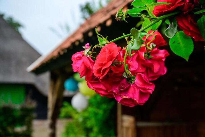 General 62 of 82