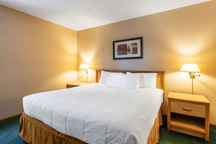 1 King Bed (6 of 15)