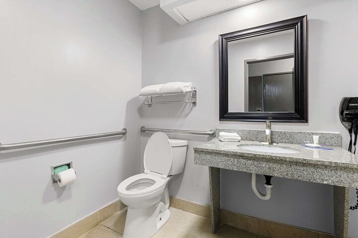 1 King Bed Suite (6 of 14)