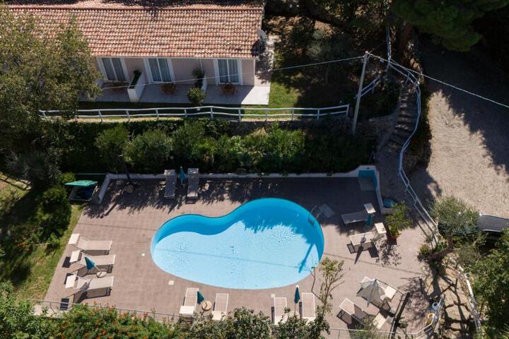 Guest Suite