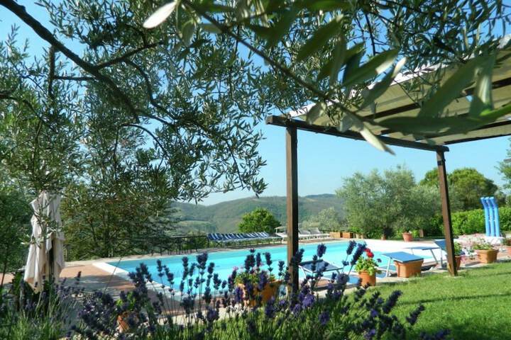 Pool 55 of 113
