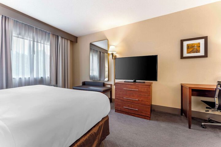 Room 12 of 52