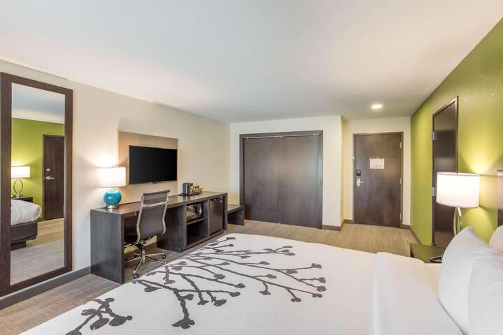 1 King Bed (3 of 13)