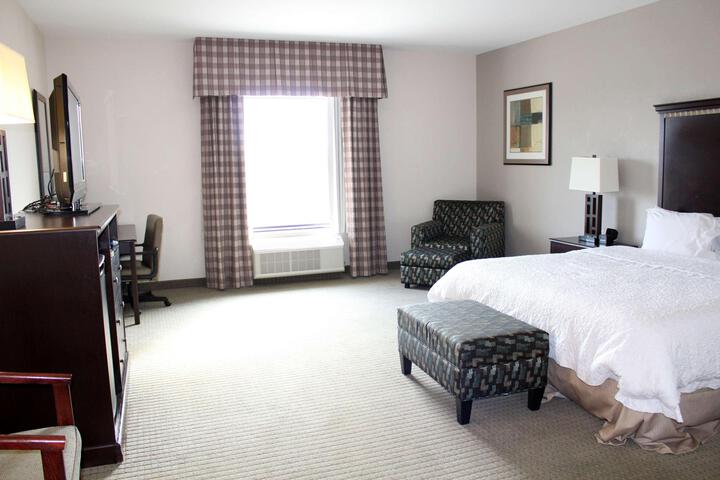 1 King Hearing Accessible Studio with Sofa Bed (3 of 13)