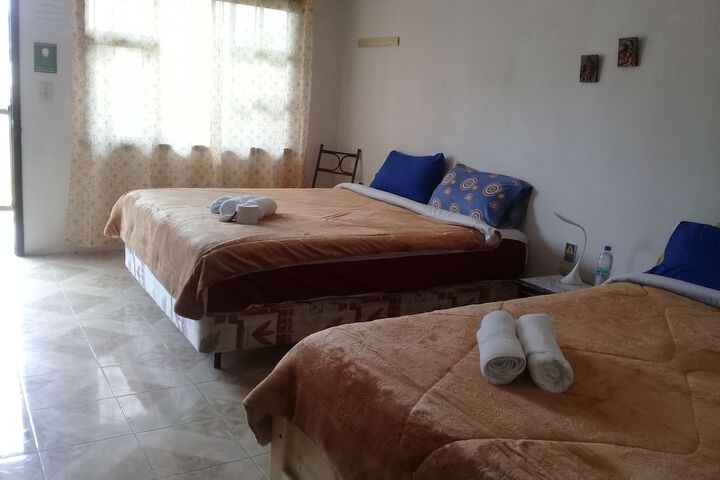 Room 6 of 58