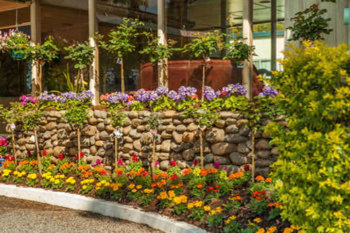 Hotel Exterior 12 of 45
