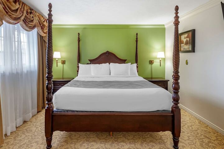 1 King Bed High Speed Internet Sofa Bed Coffee Maker, Hair Full Breakfast (12 of 24)