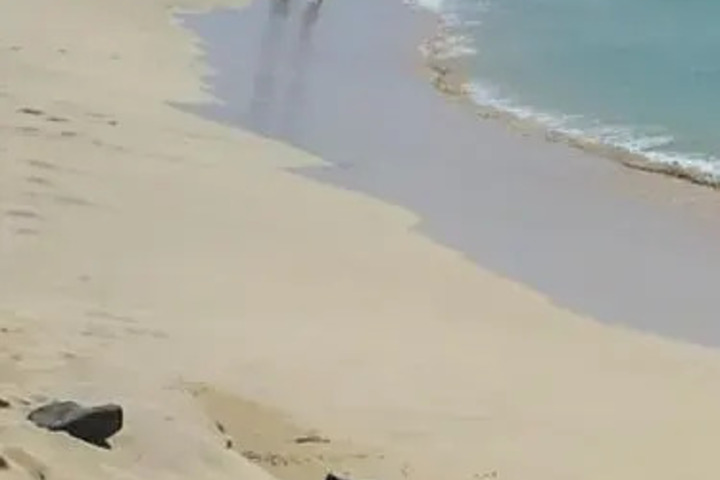 Beach 10 of 15