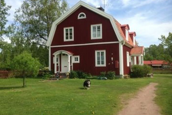Photo of Mora Vandrarhem Och Gasthem