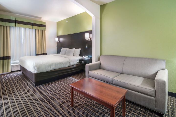 1 King Bed Suite (2 of 13)