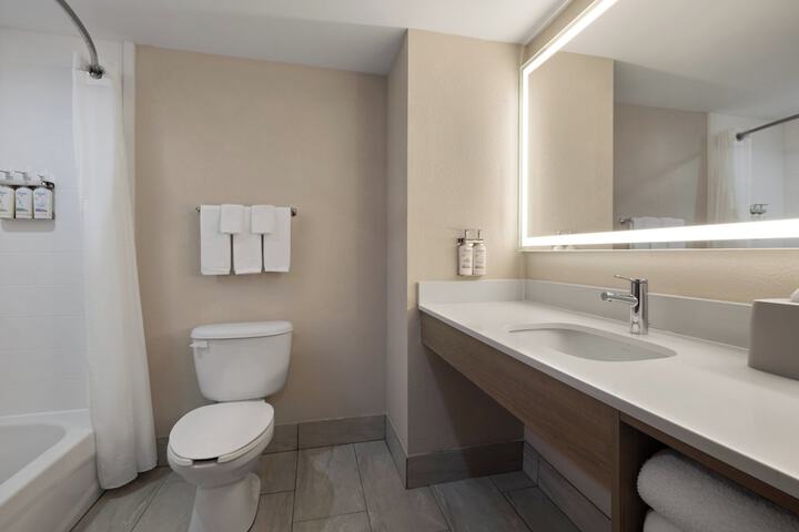 1 King Bed Standard Mobility Accessible Tub (2 of 15)