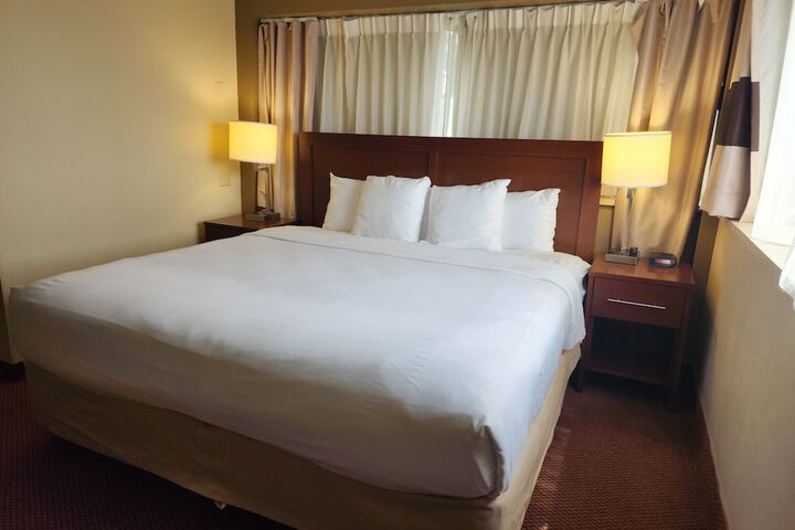 1 King Bed (5 of 8)