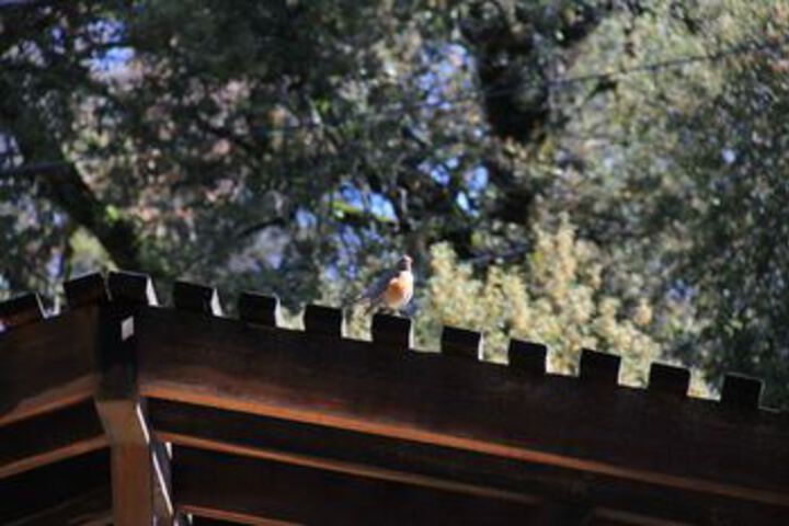 Hotel Exterior 11 of 75