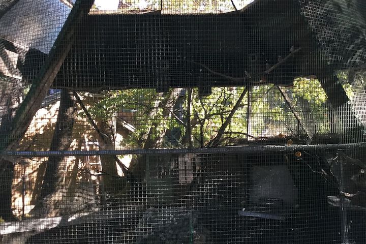 Property Grounds 114 of 120