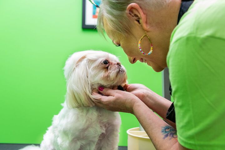 Pet-friendly