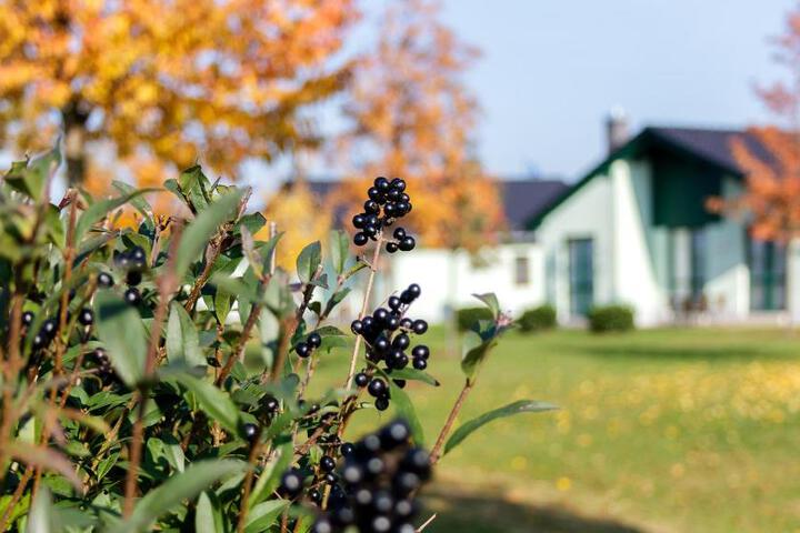 Fitness Facility Photos