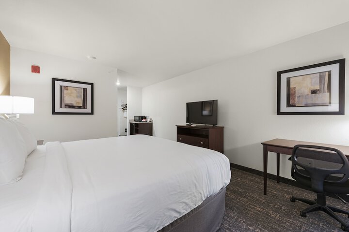 Guest Room Single King Bed Accessible (13 of 17)