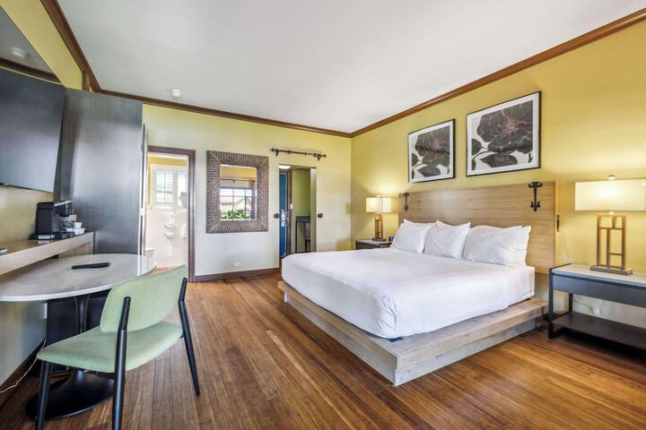 1 King Bed (17 of 20)
