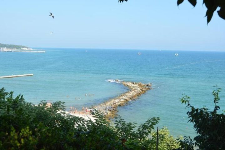 Photo 18